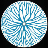 Fungi - Y1 Fungi - Hoogbegaaid