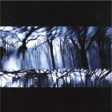 Joachim Spieth - Tides 2x12"