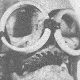 Robin Stewart - Time Travel