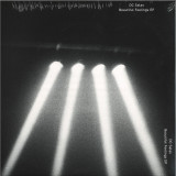 DC Salas - The Beautiful Feelings EP