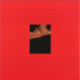 ASWA - Leftlovers LP 2x12"