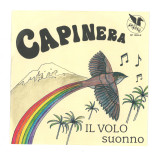 CAPINERA - IL VOLO / SUONNO