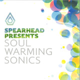 Various - Soul Warming Sonics 3x12"