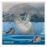 Vanishing Twin - Tell Me Not Here LP