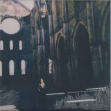 Alessandra Novaga - The Artistic Image Is Always a Miracle