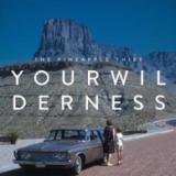 The Pineapple Thief - Your Wilderness (10th Anniversary) (2x12")