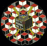 Various - City Fly Visions Vol.3
