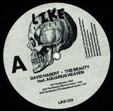 David Hasert / Dirk Sid Eno Feat. Aquarius Heaven - The Beauty & The Beast