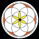 Om Unit - Torchlight Vol.3