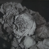 Sciahri - Quiet Witness