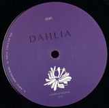 Nopax - Dahlia996