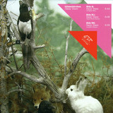 Lützenkirchen - Daily Disco