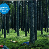 Gustav / Verlass Die Stadt - Slpit Lp