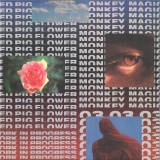 Red Pig Flower - Meduza Madness