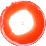 Solitary Dancer - Reveries Of A Solitary Dancer