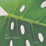 PABLO DISERENS - LIVE AT KWIA