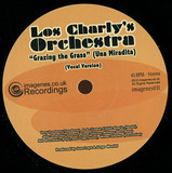 Los Charly's Orchestra - Grazing The Grass (una Miradit