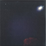 Andrea - Living Room LP 2x12"