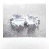 Joe Fujinoki - Glass Torso LP