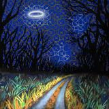 Toodles & The Hectic Pity - Every Night is a Beautiful Night (7")