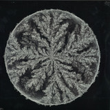 Max Cooper - Emergence Remixed