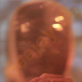 Williams - Piccadilly Circuits