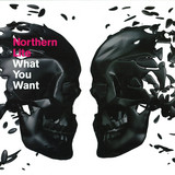 Northern Lite - What You Want