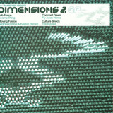 Dimensions - Ep Pt.2 - 2x12"
