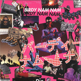 BIRDY NAM NAM - DANCE OR DIE