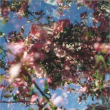 Nahash - Flowers of the Revolution 2x12"