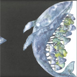 Arapu & Charlie - 2ndDNS