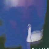 Slime - Increases Ii
