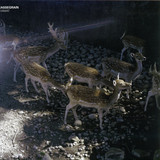 Cassegrain - Tiamat 2x12"