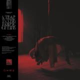 Knocked Loose - A Tear In The Fabric of Life