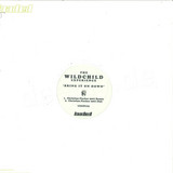 Wildchild - Bring It On Down