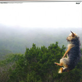 Shit And Shine - Everybody's A Fuckin Expert