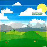 Joystick Experience - Ordinary Accident