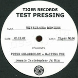 Peter Gelderblom - Waiting For (unreleased Mixes)