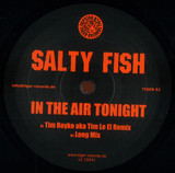 Salty Fish - In The Air Tonight