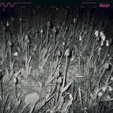 Cucina Povera & ELS - The Oystercatcher