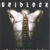 Gridlock - The Synthetic Form 2x12" LP
