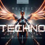 VARIOUS - Melodic Techno 2026