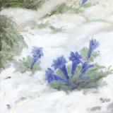 Jolie Gentiane - Insaisissables LP