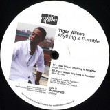Tiger Wilson - Anything Is Possible