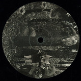 Mikhail Kobzar & Nastia Kobzar - Mistaken Fox