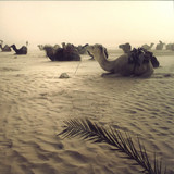 Local Suicide - We Can Go Everywhere Ep