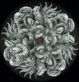 Noel Jackson / Pablo Marco - Satsang
