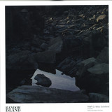 Miss Sunshine - Rino12