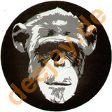 Da Monkey Boyz - Can U Steal It