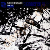 Samuel L Session - Shattered Glass